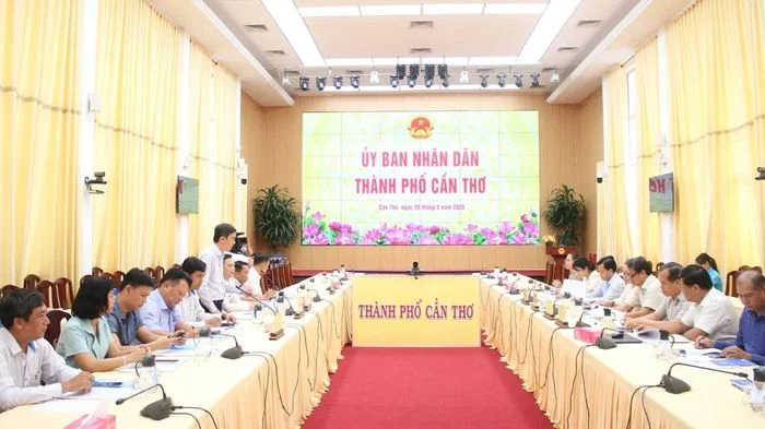 TP Cần Thơ thúc đẩy hợp tác với Trường Đại học Đồng Tháp