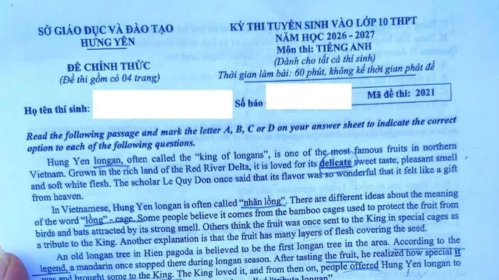 Nhãn lồng Hưng Yên gây ấn tượng trong đề thi Tiếng Anh vào 10