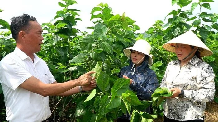 Học Bác từ những việc làm cụ thể