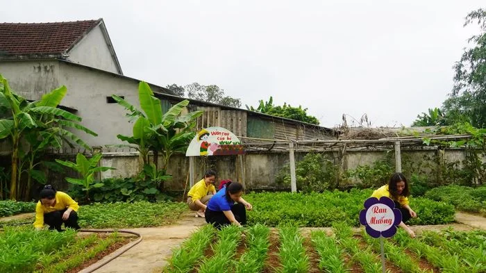 Vườn rau gây quỹ