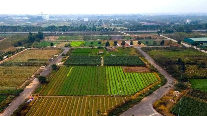 Đánh thức thị trường bất động sản Mê Linh