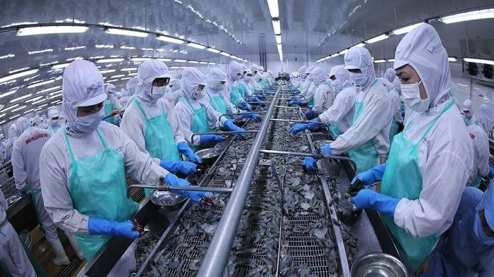Xuất khẩu thủy sản năm 2026 có nhiều dư địa tăng trưởng
