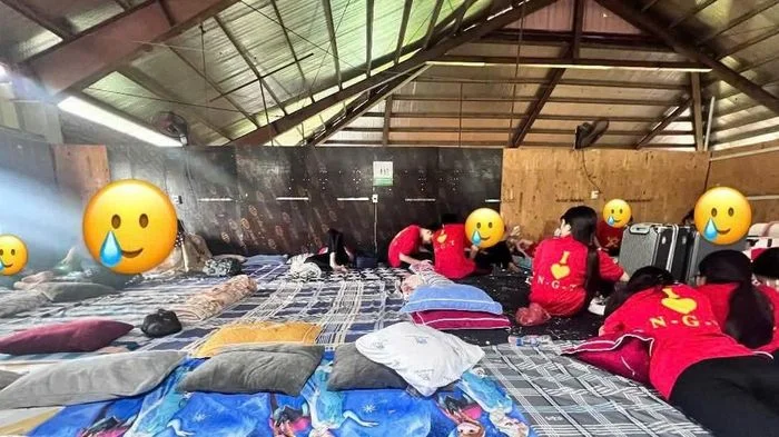 Lùm xùm chuyến đi trải nghiệm: Học sinh THPT ngủ tập thể, không điều hòa, khu vệ sinh chung bất tiện