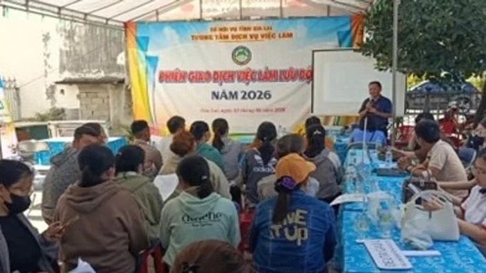Trung tâm Dịch vụ việc làm Gia Lai: Hỗ trợ người lao động đang hưởng trợ cấp thất nghiệp quay lại thị trường lao động