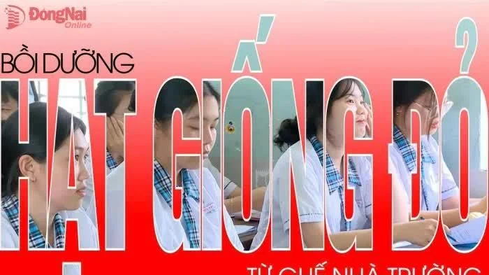 [Video] Bồi dưỡng 'hạt giống đỏ' từ ghế nhà trường