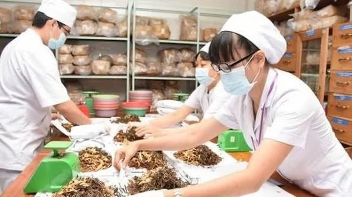 Chuẩn hóa năng lực hành nghề y học cổ truyền