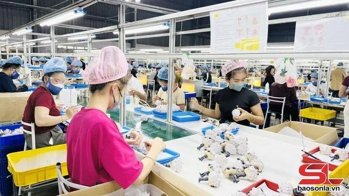 Chú trọng giải quyết việc làm cho lao động nông thôn