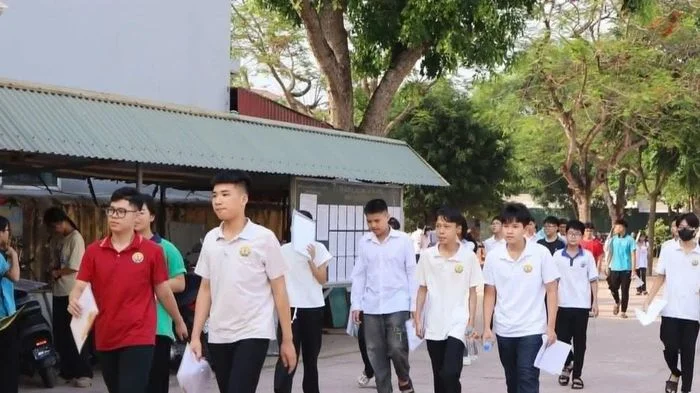 Đề thi Văn vào lớp 10 ở Hải Phòng chọn chủ đề tình mẹ, lòng biết ơn gia đình