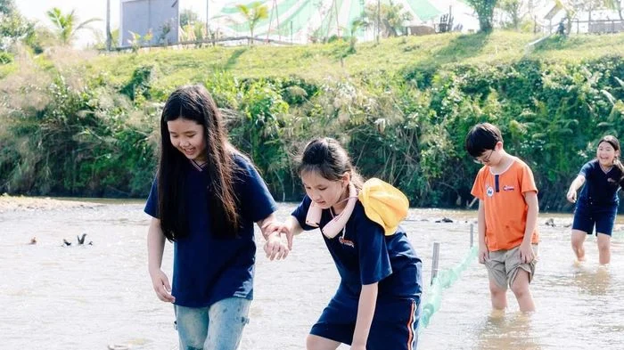 Mùa hè rời màn hình của trẻ