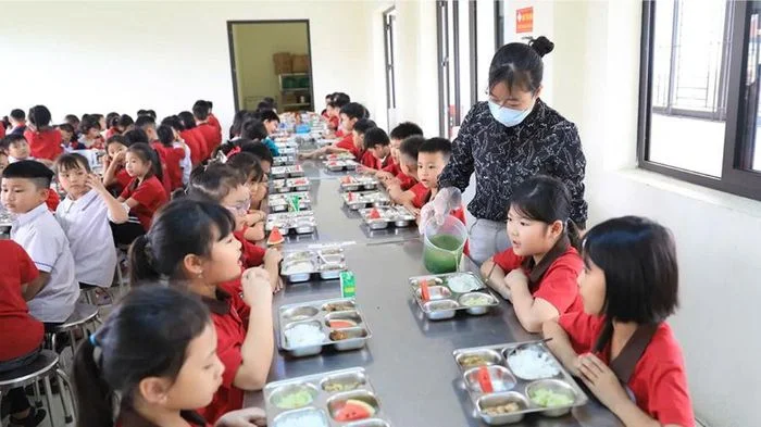 Dự kiến nâng mức hỗ trợ bữa trưa cho học sinh tiểu học